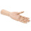 Modelo de mano de madera Schima superba, 30.0 cm, natural 13