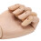 Modelo de mano de madera Schima superba, 30.0 cm, natural 6