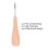 Gebogene Stichahle, Buche-Griff, Stahl, Leder 5