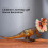 Modello di Dilophosaurus in PVC, 3+ anni 13