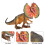 Modello di Dilophosaurus in PVC, 3+ anni 4