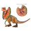 Modello di Dilophosaurus in PVC, 3+ anni 6