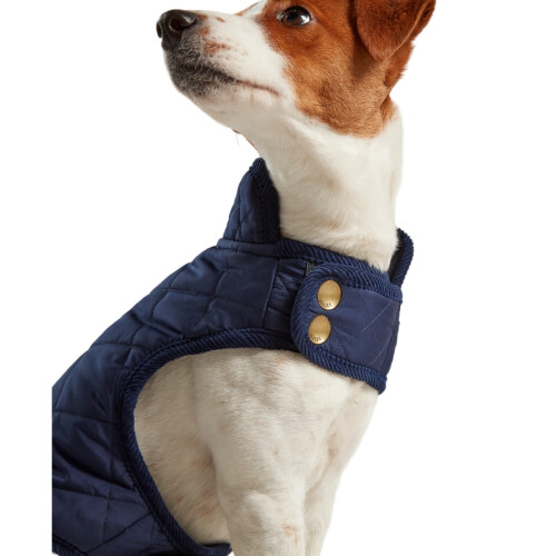 Joules (S, Navy) Joules Quilted Dog Coat 2