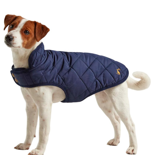 Joules (S, Navy) Joules Quilted Dog Coat