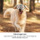Gafas para perros Modelo M-L, 20cm x 9cm, Transparente 7