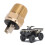 Interruttore sensore termico per ventola in ottone 4110225 2x4 5