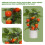 Albero artificiale da frutta in vaso 535 g 46 cm giallo 4