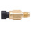 32446-99 Sensor de temperatura del motor de latón 13