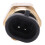 32446-99 Sensor de temperatura del motor de latón 7