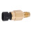32446-99 Sensor de temperatura del motor de latón 5