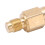32446-99 Sensor de temperatura del motor de latón 8