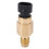 32446-99 Sensor de temperatura del motor de latón 1