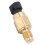 32446-99 Sensor de temperatura del motor de latón 4