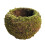 Maceta de musgo estilo japonés verde 73–2010 cm 1