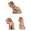 Chaleco multifuncional para mascotas talla M rosa arnés suave 9