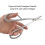 Ciseaux de bonsaï en acier inoxydable, outil de taille de 21 cm 11
