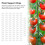 100Pcs Plant Support Clips Durable Plastic Grow Upright Vine Fixation Wide Application Tomato Clips for Grape Vegetable 3