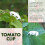 100Pcs Plant Support Clips Durable Plastic Grow Upright Vine Fixation Wide Application Tomato Clips for Grape Vegetable 10