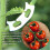 100Pcs Plant Support Clips Durable Plastic Grow Upright Vine Fixation Wide Application Tomato Clips for Grape Vegetable 4
