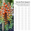 100Pcs Plant Support Clips Durable Plastic Grow Upright Vine Fixation Wide Application Tomato Clips for Grape Vegetable 12