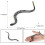 Jouet serpent réaliste : Figure de serpent à sonnette, 3 ans et plus 1