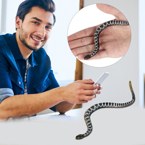 Jouet serpent réaliste : Figure de serpent à sonnette, 3 ans et plus 2
