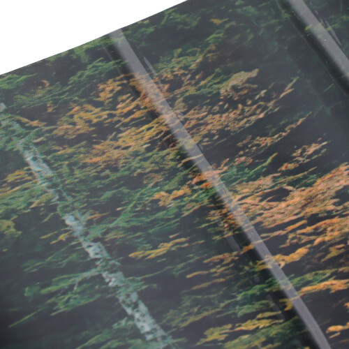 Acquario in PVC 3D Lake Reflection 61x30cm 2