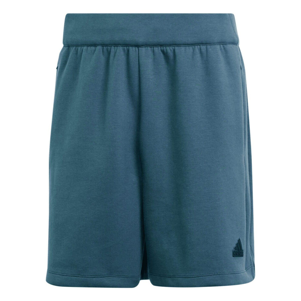 (XXL, Blue) Adidas Mens Z.N.E. Premium Shorts