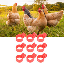100 pezzi di anelli TPU per zampe di pollo - Fibbia 13/16 mm