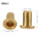 Rivetti cavi in ottone 500 pezzi 1,5x3x2,5 mm per borse 4