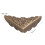 Protettori angolari per scatole in bronzo e ferro, 20 pezzi, 14x43 mm 8