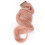 5 piezas de extensión de cabello con clip de 55 cm rosa toronja 3