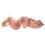5 piezas de extensión de cabello con clip de 55 cm rosa toronja 5