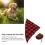 Set cappello da cowboy e sciarpa per cane a quadri marrone e rosso 8