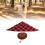 Set cappello da cowboy e sciarpa per cane a quadri marrone e rosso 15