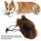 Perruque pour chien en nylon, réglable et élastique, 30-60 cm. 11