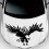 D-733 Eagle calcomanía para coche 50x33cm 50g Negro/Blanco 1