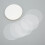 Pellicola per badge 100 pezzi PVC trasparente 25 mm protezione 9