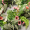 Corona de flores artificiales 50 cm / 19,7 pulgadas Verde 7