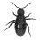 Ant Toy Télécommande infrarouge transparente LR44x3 1,5V 4