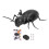 Ant Toy Télécommande infrarouge transparente LR44x3 1,5V 2