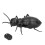 Ant Toy Télécommande infrarouge transparente LR44x3 1,5V 1