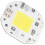 Perla de lámpara COB 220V, chip LED 5,5x5,5cm, 2,4x2,4cm 3
