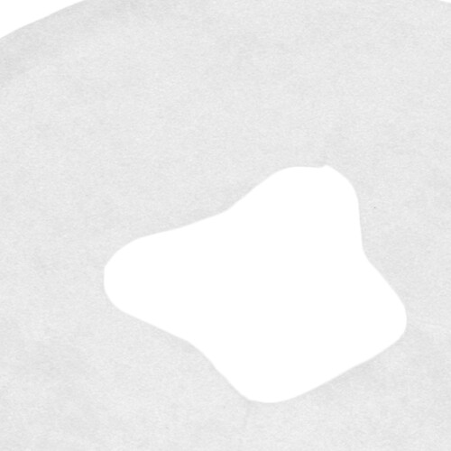 100 pezzi coperture per viso usa e getta 29x29cm bianco 2