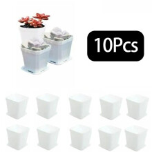 10 macetas de plástico multicolor con bandejas de drenaje para suculentas, hogar y oficina.