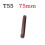 1 τεμάχιο μαγνητικό κατσαβίδι Torx 30/75 χιλ. με μύτη, ατσάλιν 1