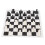 Set d'échecs international Noir/Blanc 9,9  9,7 pouces 14