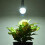 Zaino per bambini con luci LED da 15 L resistente con spallacci comodi 15