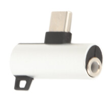 Adattatore Type-C a 3,5 mm, 2 in 1, PD veloce, argento