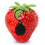 Lupa de bolsillo TH-2001 6x 50 mm, mango plegable 1